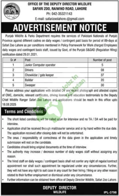 Safari Zoo Lahore,Kickstart Your Career with Safari Zoo Lahore – Daily Wage Jobs Available.